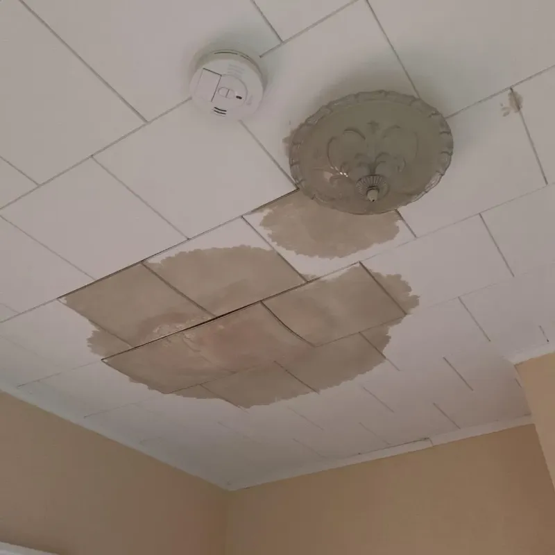 Ceiling Water Damage Repair in Mount Vernon, ME