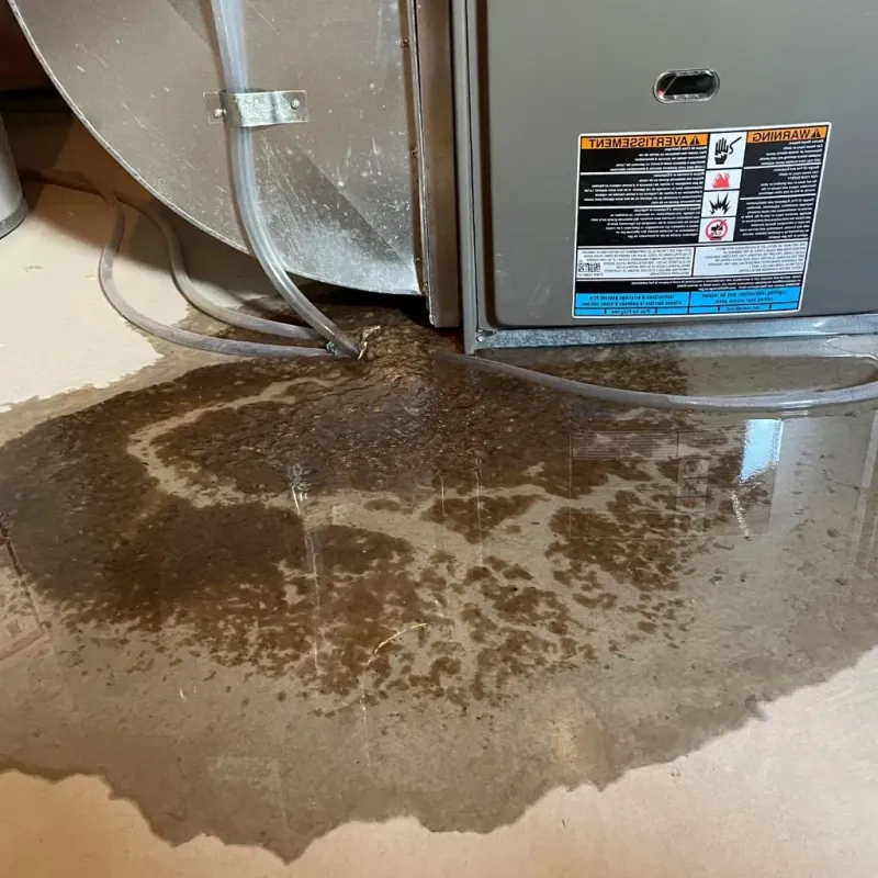 Pipe Burst and Leak Restoration in Mount Vernon, ME