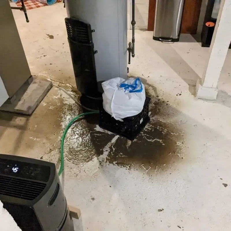 Sewage Backup Cleanup Service in Mount Vernon, ME